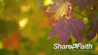 Autumn Leaves Nature Background 4K Video | Sharefaith.com