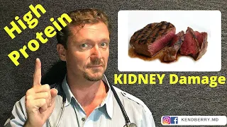 Does a High Protein Diet cause Kidney Disease? [WARNING: Myth Alert]