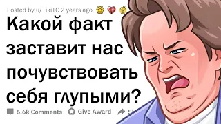 Эти факты заставят тебя ПОЧУВСТВОВАТЬ себя ГЛУПЫМ!