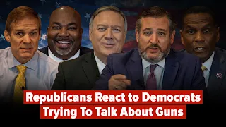 Republicans React to Democrats Trying To Talk About Guns