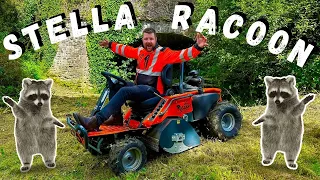 Ride On Flail Mower! Can This Fell A Tree? Its pretty good at BRAMBLES too! Stella Racoon 95 4x4!