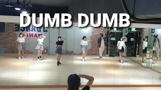 SOMI 전소미 - DUMB DUMB 덤덤 /    커버댄스 dance cover♡오후 방송댄스♡