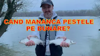 Cand mananca pestele pe Dunare in luna Martie!