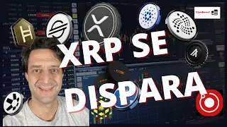 XRP se Dispara, el Bullrun traerá nuevos ATH