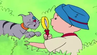 Caillou Magyar | Caillou a Dzsungelben | Caillou szezon összeállítás | Rajzfilmek gyerekeknek