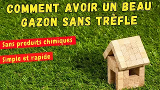 Comment éliminer le trèfle , plantin et pissenlit dans le gazon