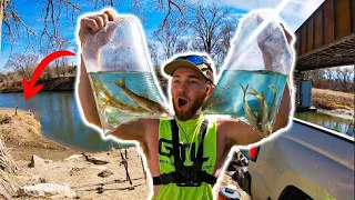 Unexpected RARE CATCH using BIG BAITS in Tiny Creek!!! (We were Shocked!!)