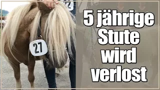 5 jährige Stute wird verlost!