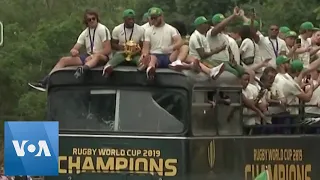 Thousands Flood Streets of Johannesburg and Soweto to Celebrate Springboks’ World Cup Win