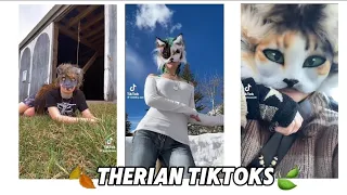 🍂Therian Tiktoks🍃| Alterhumans of Tiktok🐾🪶|