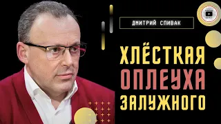 ⚡ У Залужного НАКИПЕЛО! Главком ЖЕСТКО ставит Запад на место! Спивак: сюрприза от НАТО не будет...