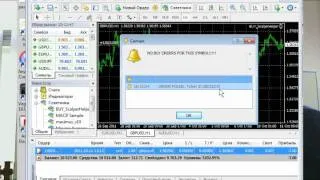 Видео Урок MQL 4 (написание эксперта).mov