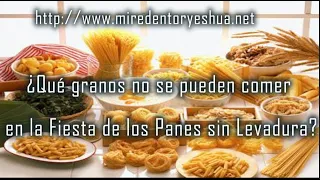 ¿Qué granos no se pueden comer en la Fiesta de los Panes sin Levadura?