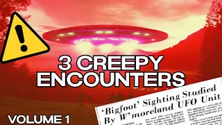 The Craziest Bigfoot-UFO Encounter | Emperor Zeech