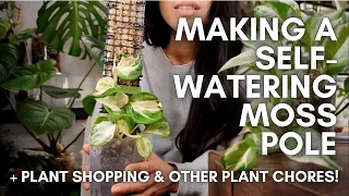 Repotting my manjula on to a self-watering moss pole + other plant chores + plant shopping!