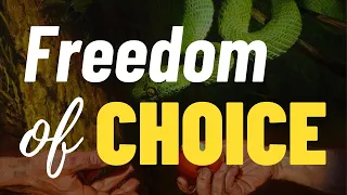Halse Hall SDA Church|| Sab. Apr. 28, 2024|| Religious Liberty Day|| Theme: Freedom Of Choice
