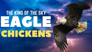 THE EAGLE AND THE CHICKENS – A STORY ABOUT BEING WHO YOU ARE MEANT TO BE - Best Motivational Video