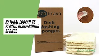 Why You Should Use A NATURAL LOOFAH Instead Of A Plastic Dish Sponge | Part 1 #short