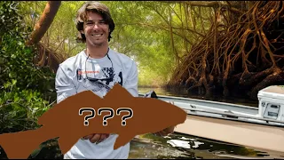 FISHING HEAVEN FOUND? Catching TONS of Saltwater Gamefish in a Secret Mangrove Tunnel!