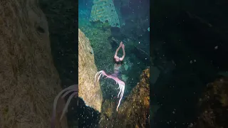Mermaid Rollercoaster! 🎢 Underwater flips are the best! #mermaid #underwater #mermaidtail #cenotes
