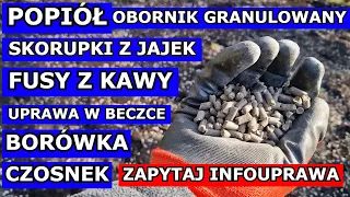 Popiół w Ogrodzie, Fusy z Kawy, Skorupki z Jajek Jak wykorzystać, Obornik granulowany, Borówka | Q&A