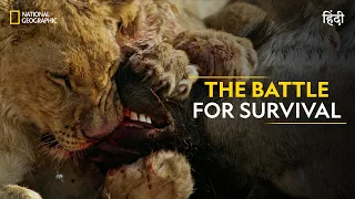 The Battle for Survival | Savage Kingdom | हिन्दी | Full Episode | S1-E3 | Nat Geo Wild