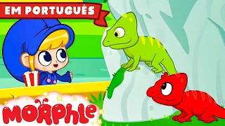 Meu Camaleão Vermelho | Morphle em Português | Desenhos em Portugues | Desenhos