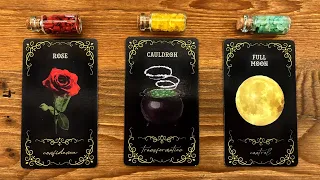 WHAT DO YOU NEED TO HEAR ABOUT YOUR CURRENT SITUATION? 🌹🌿🌕 | Pick a Card Tarot Reading