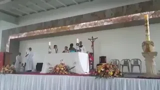 Mujer tira Hostias Consagradas - Mira la reacción del sacerdote