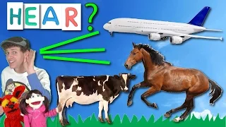 What Do You Hear? Song #2 | Learn With Matt | Learning Vehicle and Animal Sounds English Kids