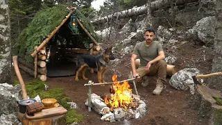 Building Bushcraft Survival Shelter,  Winter Camp in the Wilderness with My Dog