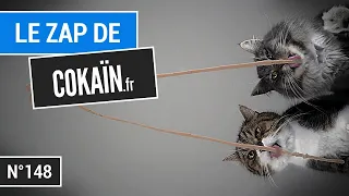 Le Zap de Cokaïn.fr n°148