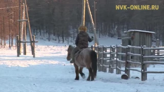 Уус Алдан улууһун Тиит Арыы нэһилиэгэ төрүт аатын төнүннэрэр  (30.11.2016)