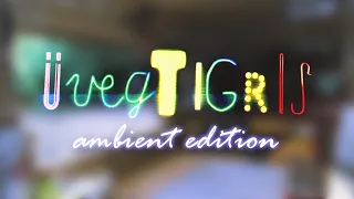 Üvegtigris - Ambient Edition