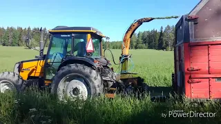 Chopping first crop silage. Ensimmäisen sadon rehunteko. 2019