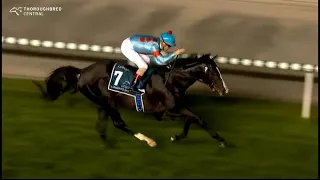 2023 DRC MEYDAN Dubai Sheema Classic