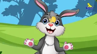 Little Peter Rabbit | English Nursery Rhymes | English Kids Songs