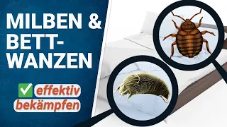 Milben und Bettwanzen bekämpfen