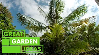 A Rare Collection of Palm Trees | GARDEN | Great Home Ideas