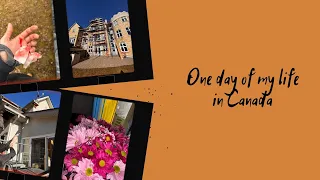 #НЕДОVLOG | Один день із життя в Канаді | Моя робота | Як я працюю | Робота на даху | CUAET