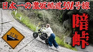 【暗峠】日本一のベタ踏み坂をモンキー88で無事に走破できるのか？【往復】