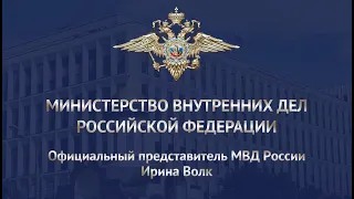 Ирина Волк: Полицейскими в Подмосковье задержан подозреваемый в серии мошенничеств