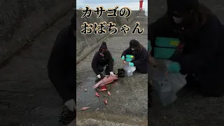 【恐怖】釣った巨大魚を女性が堤防で捌いていたら#Shorts