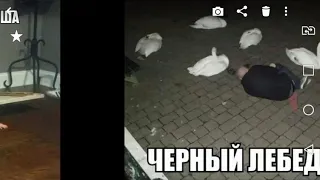 Лютые приколы часть 2