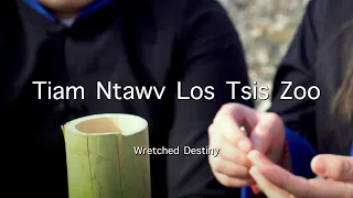 Tiam Ntawv Los Tsis Zoo | Cover by Meng Her