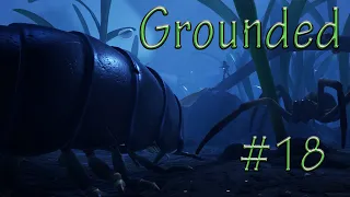 Rolling with the Punches (Grounded) #18