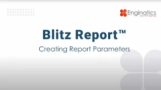 Blitz Report™ Tutorial - Creating Report Parameters