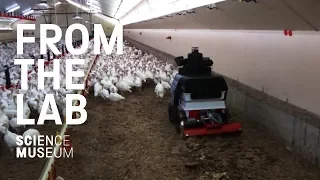 This autonomous robot keeps chickens healthy