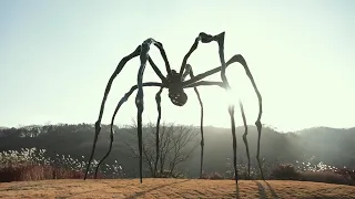 [BEHIND] Louise Bourgeois - MAMAN 작품의 숨겨진 이야기
