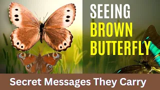 Brown Butterflies: The Hidden Spiritual Messages They Carry